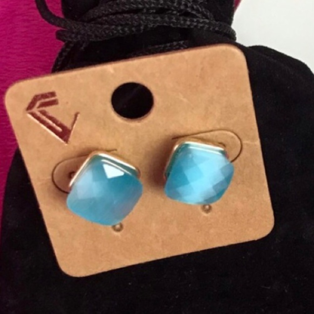 New Blue Stone Stud Earrings